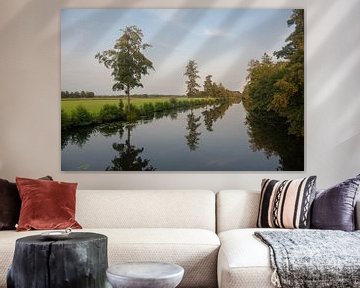 Bomen Meppel van Richard Wareham