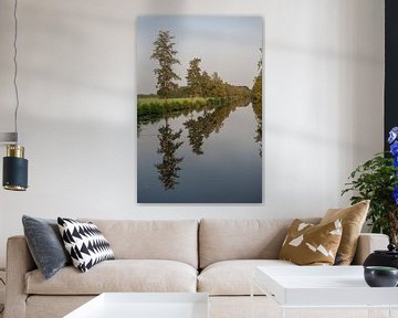 Bomen in de water van Richard Wareham