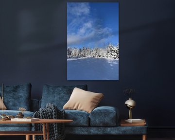 The recreational playground in winter by Claude Laprise
