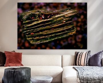 Wood fantasy by Miny'S
