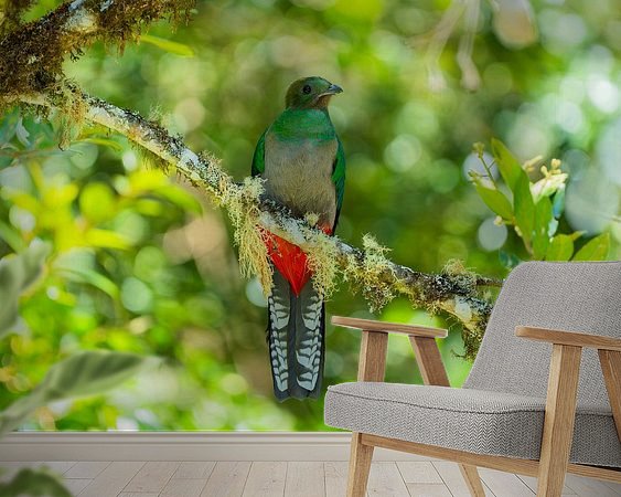 Aperçu de la chambre