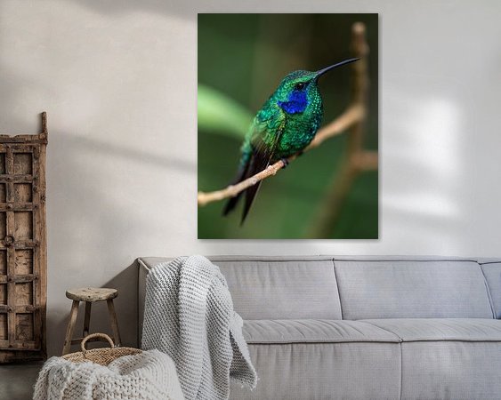 Aperçu de la chambre