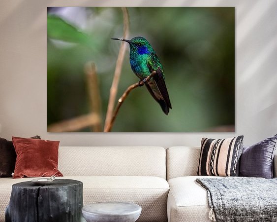 Aperçu de la chambre