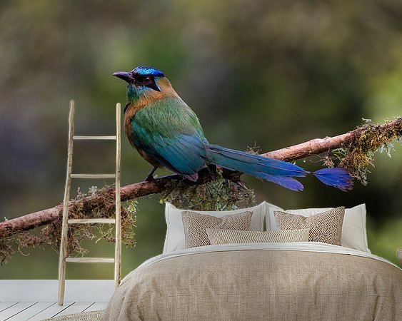 Aperçu de la chambre