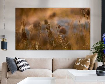 Sunset 3 by Martin van Berloo