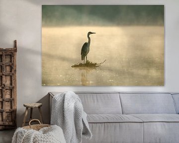 reiger in de ochtendzon by Marcel Pietersen