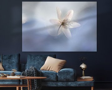 Bosanemoon in blauw van Patricia van Kuik