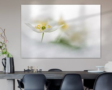 Bosanemoon met bokeh achtergrond van Patricia van Kuik