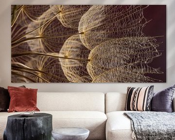 Panorama met warme kleuren: Lichtval op pluisjes van Marjolijn van den Berg