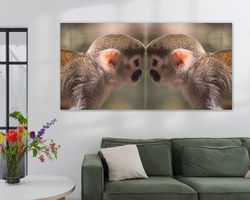 Monkey mirror sur Angelique van Heertum