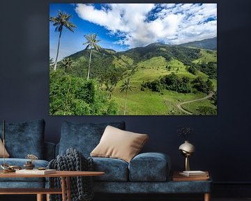 Cocora Valley