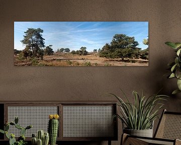 Veluwezoom National Park Gelderland by Richard Wareham