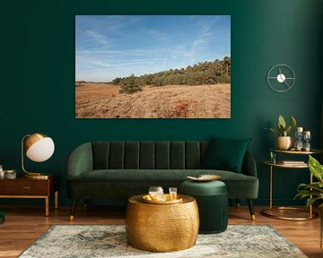Nationaal Park Veluwezoom Gelderland van Richard Wareham