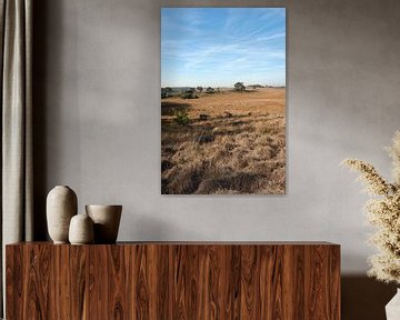 Nationaal Park Veluwezoom Gelderland van Richard Wareham
