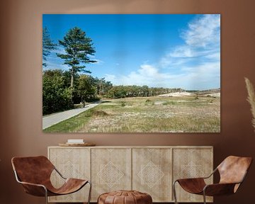 Dunes de Schoorl sur Richard Wareham