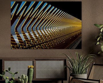 Achter de tralies van shoott photography