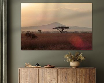 Serengeti sun by Olaf Piers