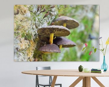 Paddenstoelen van Richella Nouwens