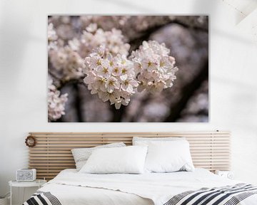 De betovering van sakura voor altijd bij jou thuis van Jeroen de Jongh Fotografie