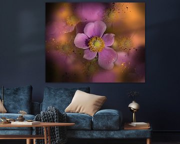 Anemone dream