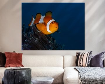 Nemo in a blue underwater world No II by Mieke Noordanus