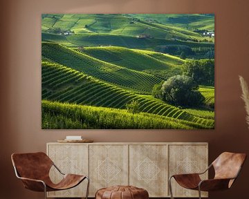 Langhe wijngaarden Barolo heuvels, Piemonte, Italië Landschap van Stefano Orazzini