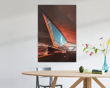 Van onder de Erasmusbrug van Ronne Vinkx