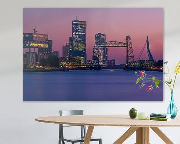 De Hef en Erasmusbrug verlicht van Ronne Vinkx