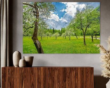 Boomgaard in een Alpenlandschap in de Logar-vallei tijdens de lente van Sjoerd van der Wal Fotografie