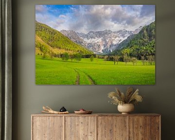 Zgornje Jezersko vallei in de lente van Sjoerd van der Wal Fotografie