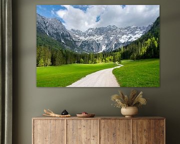 Uitzicht op alpendal tijdens de lente in de Alpen van Sjoerd van der Wal Fotografie