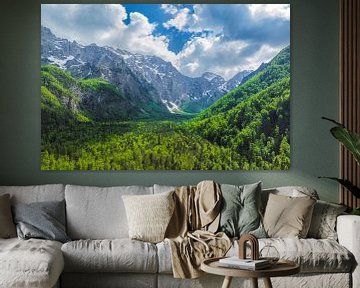 Logarvallei in de Kamnik Savinja Alpen in Slovenië
