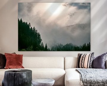 Wolken boven het bos in de Zgornje Jezersko vallei zicht tijdensin