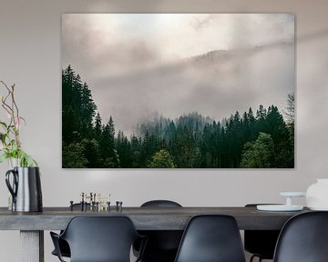 Wolken boven het bos in de Zgornje Jezersko vallei zicht tijdensin