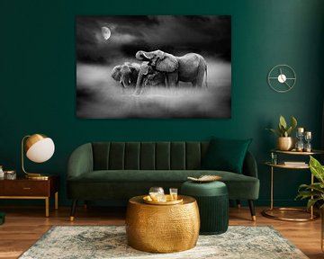 Elephants by moonlight by Chris Stenger