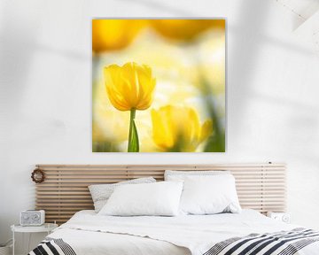 Gele tulpen van Ron van der Stappen