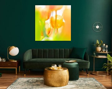 Geel/oranje tulpen van Ron van der Stappen