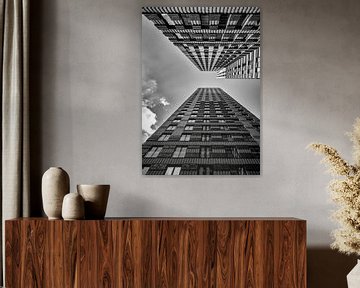 Way up high in the sky van shoott photography