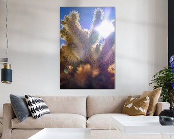 Zonnige cactussen in Joshua Tree National Park van Richard Jungschlager