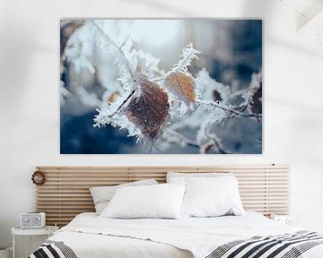 Ice sheets