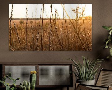 De avondzon die bleef hangen van Captured Created by Cathleen