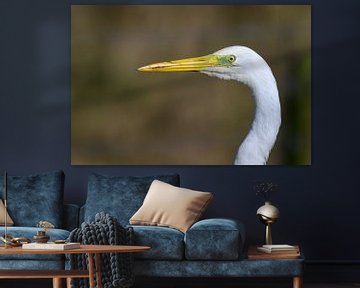 Grote zilverreiger van Jan Jongejan