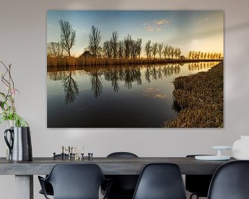 Rij bomen aan de waterkant reflecteren in het vlakke wateroppervlak van Bram Lubbers
