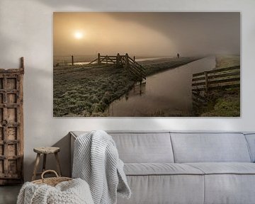 Hond uitlaten in de mist op een koude winterochtend