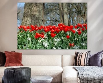 tulips by Henriette Tischler van Sleen
