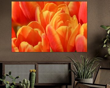 Bosje Tulpen van Caroline Guerain