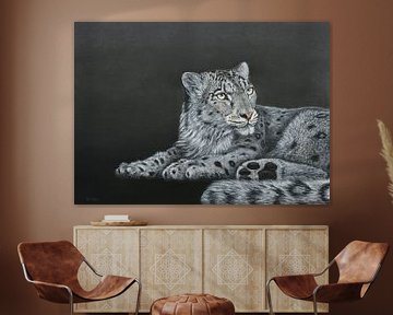 Schneeleopard, Panthera uncia