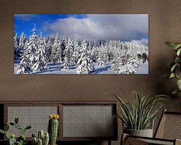 The top of the snow-capped mountain by Claude Laprise