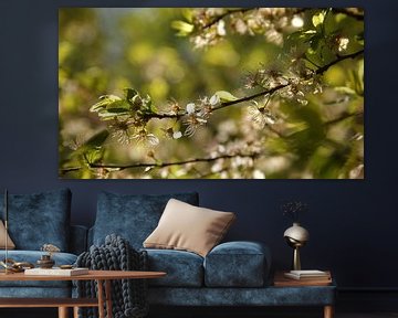 Blüte