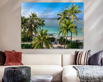 Plage de palmiers sur Tilo Grellmann